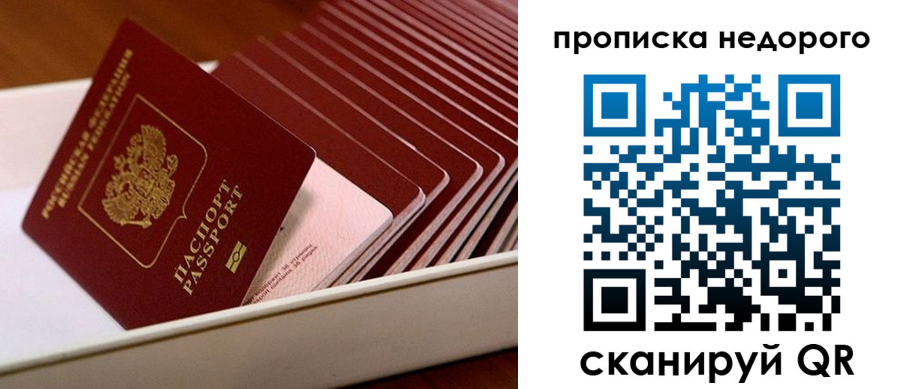 прописка паспорт в Вязниках